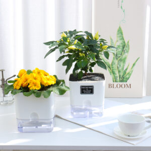 otomatik sulamalı modern kare saksı – kendini sulayan saksı
