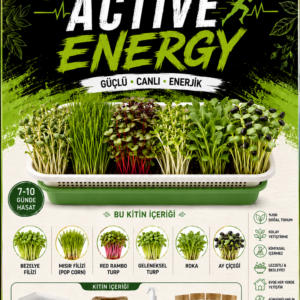 active energy