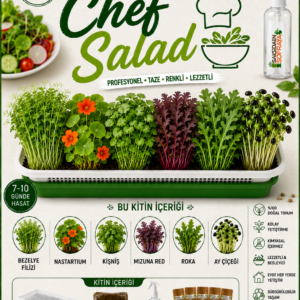 chef salad
