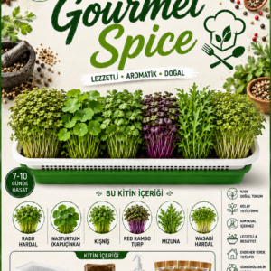 gourmet spice