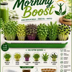 morning boost