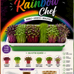 rainbow chef