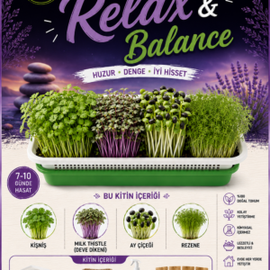 relax balance