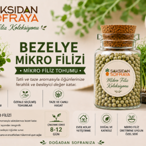 Bezelye Mikro Filiz Tohumu 10 gr mantar tıpalı cam kavanoz 10 gr