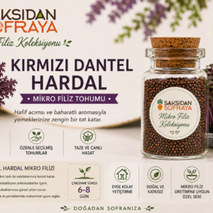 Kırmızı Dantel Hardal Mikro Filiz Tohumu 10 gr mantar tıpalı cam kavanoz 10 gr