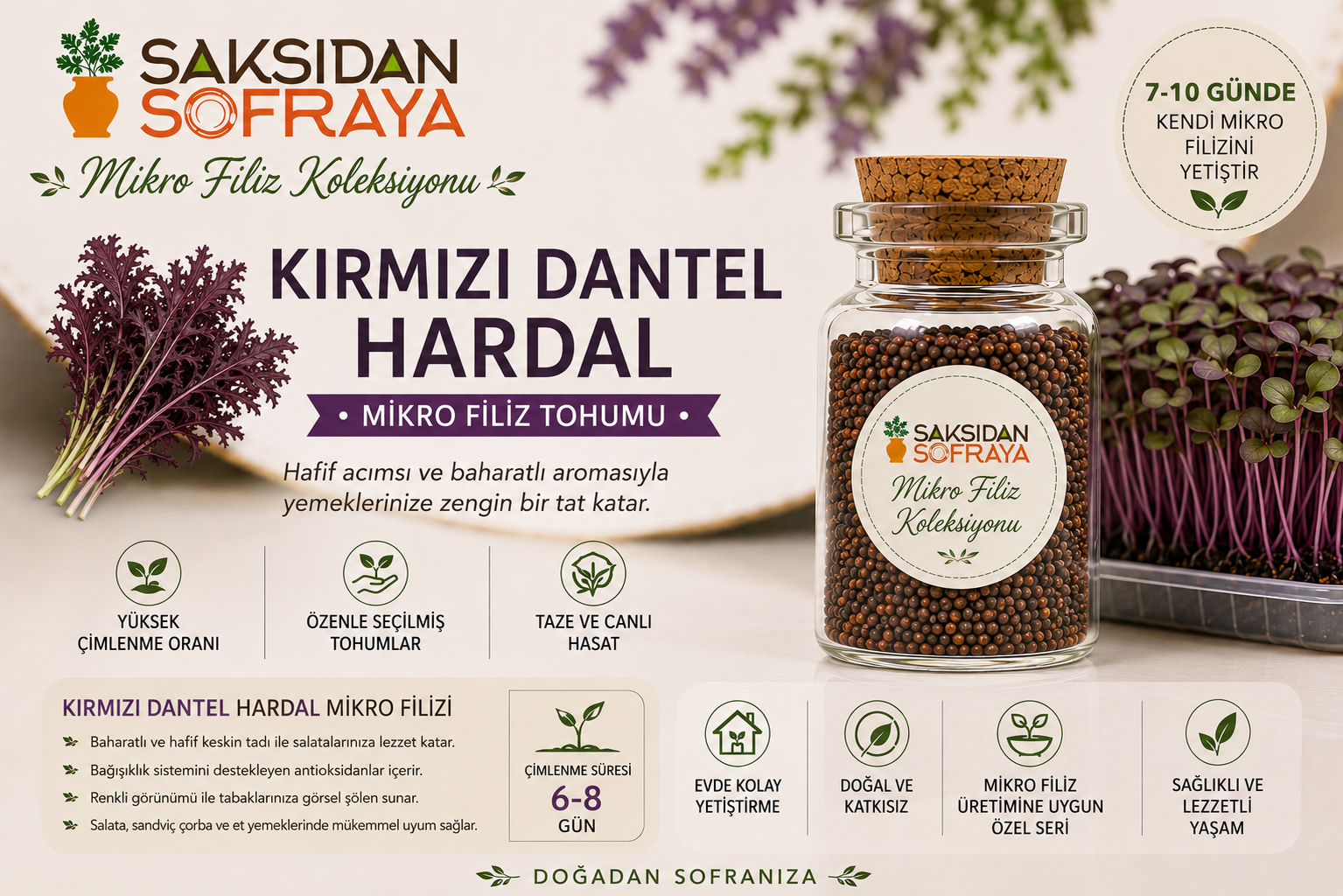 Kırmızı Dantel Hardal Mikro Filiz Tohumu 10 gr Kırmızı Dantel Hardal Mikro Filiz Tohumu 10 gr mantar tıpalı cam kavanoz 10 gr