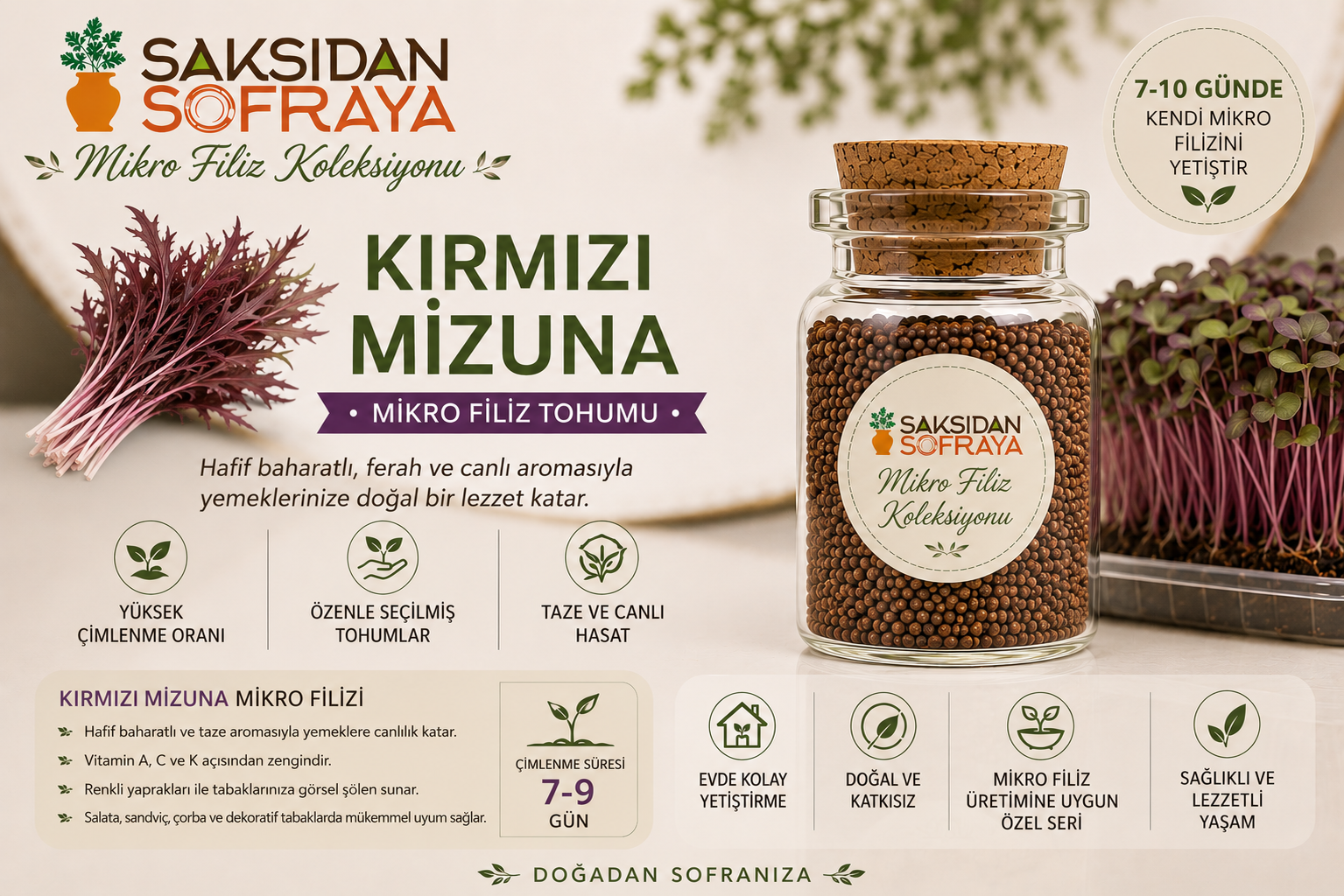 Kırmızı Mizuna Mikro Filiz Tohumu 10 gr Kırmızı Mizuna Mikro Filiz Tohumu 10 gr mantar tıpalı cam kavanoz 10 gr
