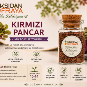 Kırmızı Pancar Mikro Filiz Tohumu 10 gr mantar tıpalı cam kavanoz 10 gr