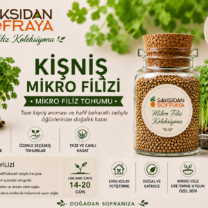 Kişniş Mikro Filiz Tohumu 10 gr mantar tıpalı cam kavanoz 10 gr