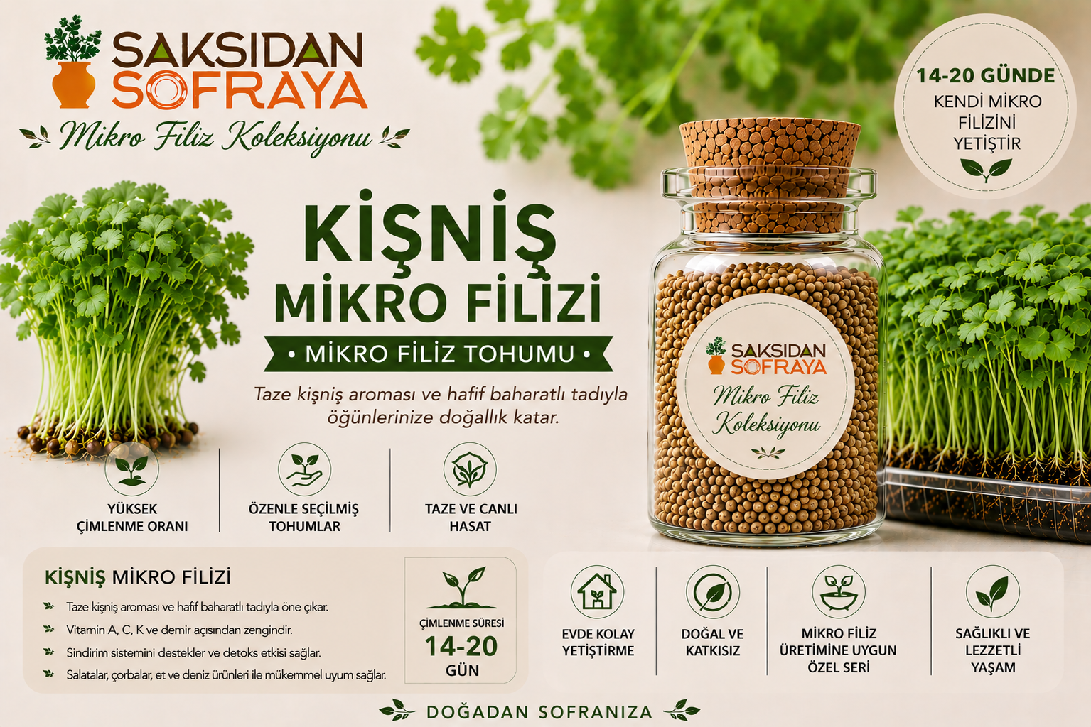 Kişniş Mikro Filiz Tohumu 10 gr Kişniş Mikro Filiz Tohumu 10 gr mantar tıpalı cam kavanoz 10 gr