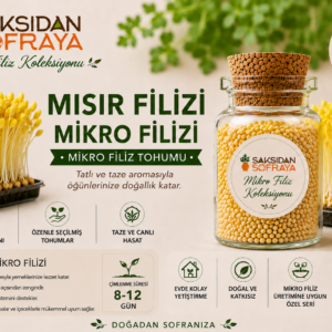 Mısır Filizi Mikro Filiz Tohumu 10 gr mantar tıpalı cam kavanoz 10 gr