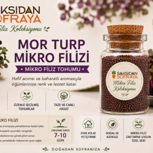 Red Rambo Mor Turp Mikro Filiz Tohumu 10 gr mantar tıpalı cam kavanoz 10 gr