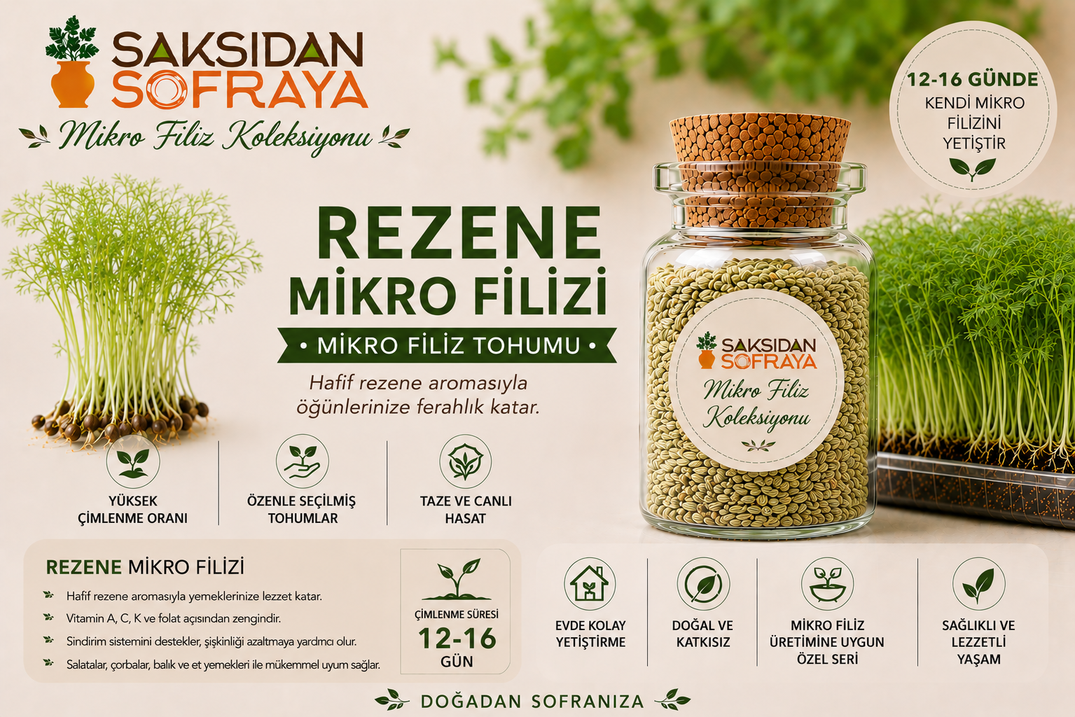 Rezene Mikro Filiz Tohumu 10 gr Rezene Mikro Filiz Tohumu 10 gr mantar tıpalı cam kavanoz 10 gr