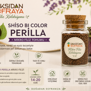 Shiso Bi Color Perilla Mikro Filiz Tohumu 10 gr mantar tıpalı cam kavanoz 10 gr