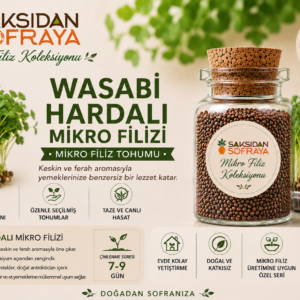 Wasabi Hardalı Mikro Filiz Tohumu 10 gr mantar tıpalı cam kavanoz 10 gr
