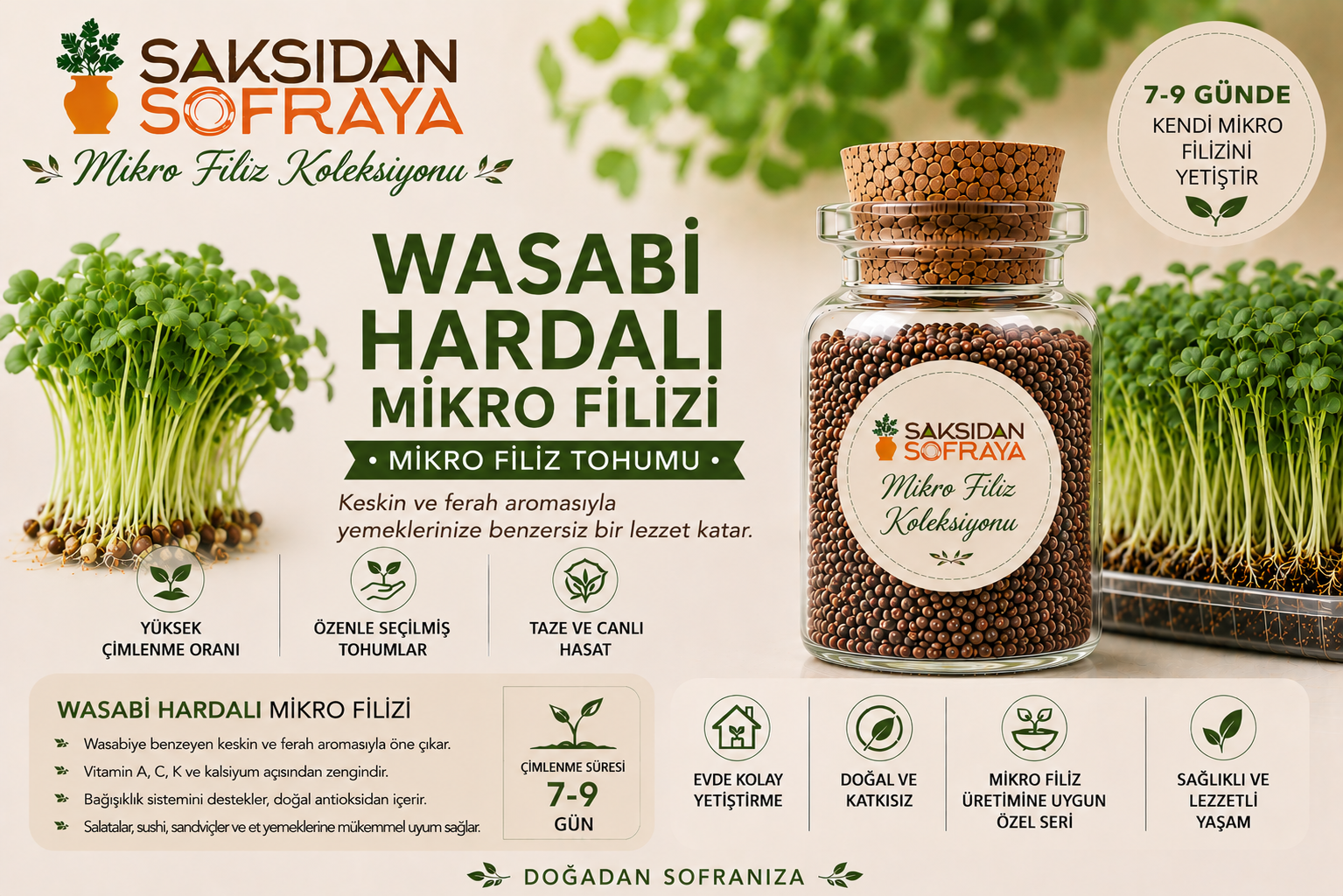 Wasabi Hardalı Mikro Filiz Tohumu 10 gr Wasabi Hardalı Mikro Filiz Tohumu 10 gr mantar tıpalı cam kavanoz 10 gr